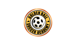 BRONZE Sponsorship