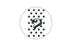 Silver Sponsor