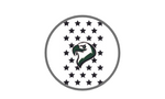 Bronze Sponsor