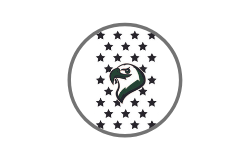 Bronze Sponsor