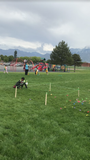 Obstacle Course at Recess - 1 piece remaining